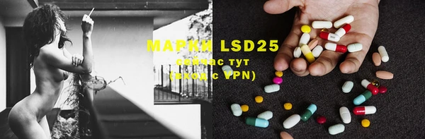 ECSTASY Магас