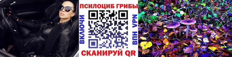 omg как войти  Магас  Псилоцибиновые грибы мухоморы 