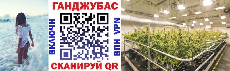 где продают   ссылка на мегу зеркало  Каннабис марихуана  Магас 